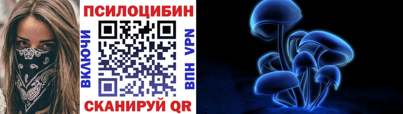 что такое наркотик  Ясногорск  Псилоцибиновые грибы Psilocybine cubensis 